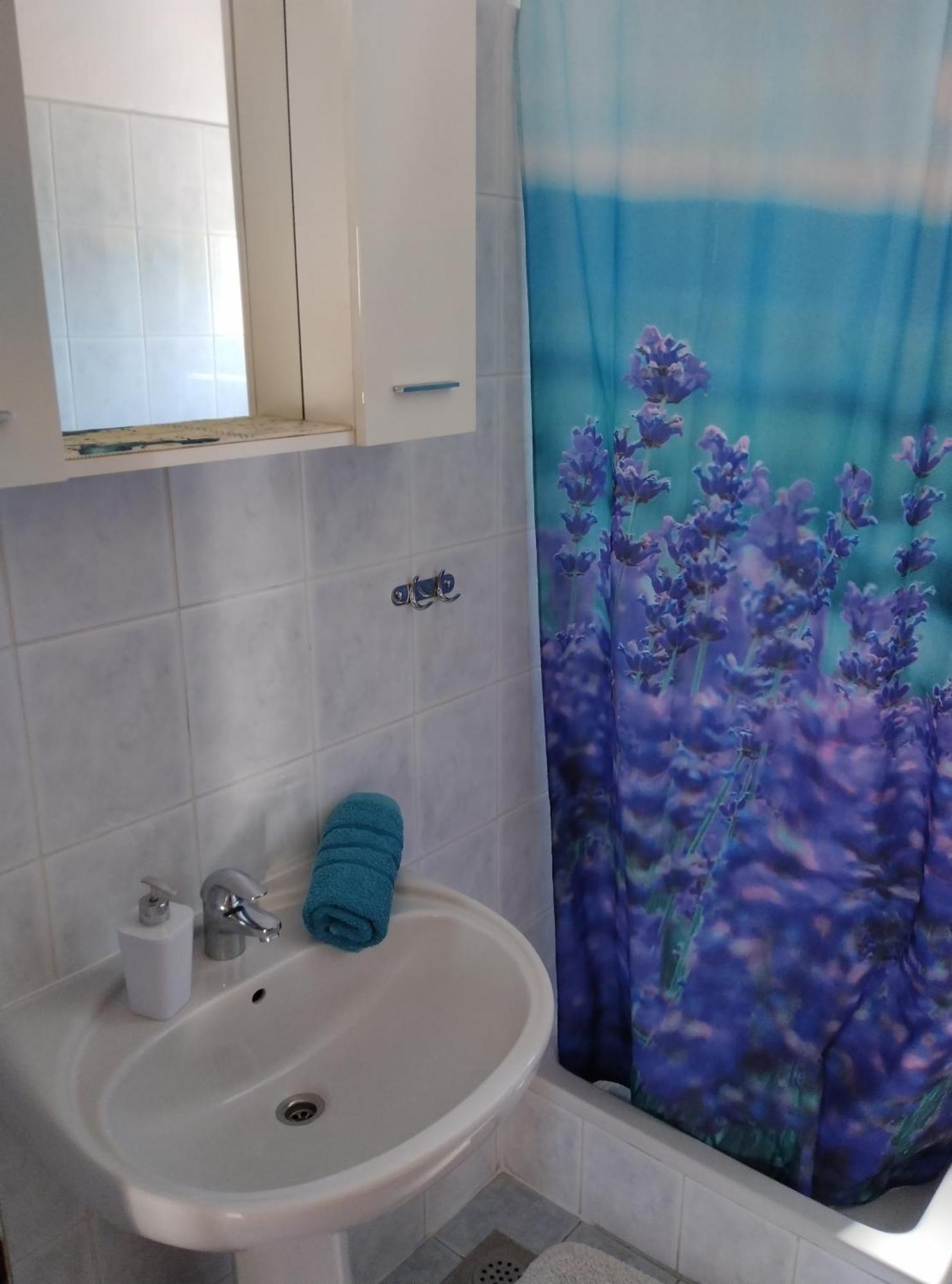 Apartments Hanna Grebaštica エクステリア 写真